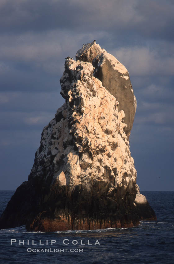 Roca Partida, a small remote seamount in the Revillagigedos., natural history stock photograph, photo id 05620