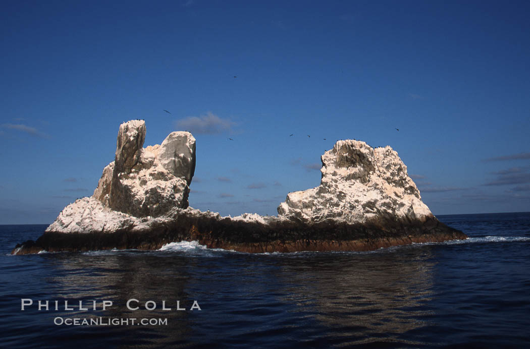Roca Partida, a small remote seamount in the Revillagigedos., natural history stock photograph, photo id 05619