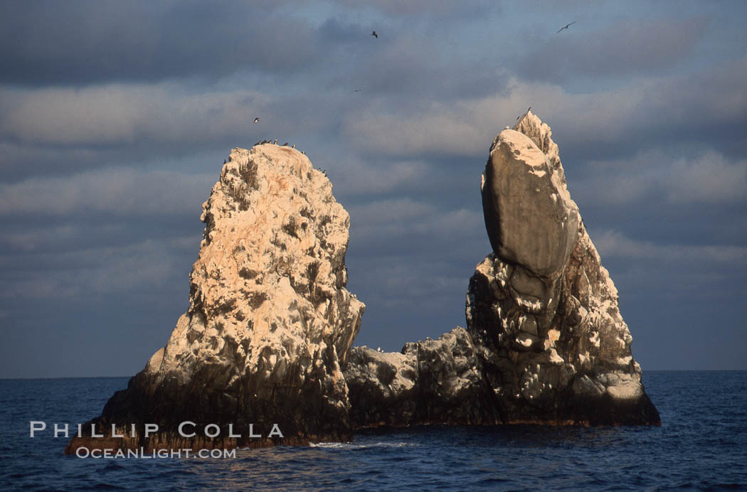 Roca Partida, a small remote seamount in the Revillagigedos., natural history stock photograph, photo id 05621