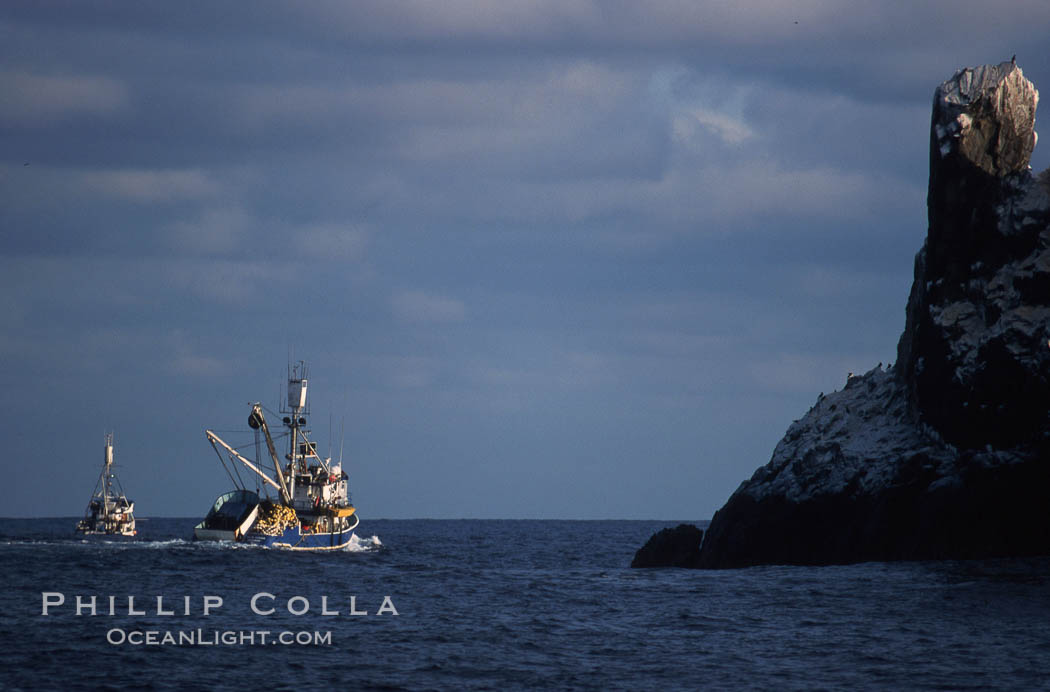 Illegal fishing at Roca Partida, Revillagigedos., natural history stock photograph, photo id 05625