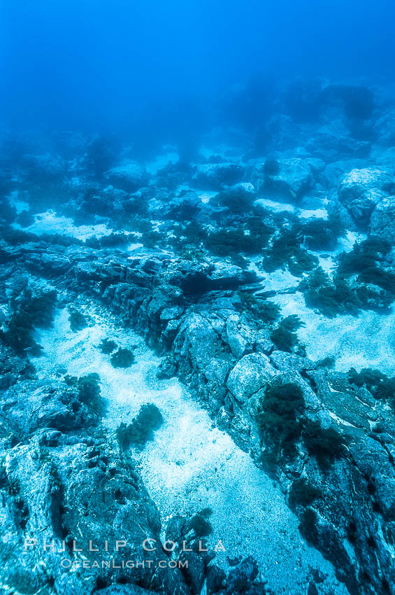 Sand channels and granite structures form the underwater reef at Abalone Point. Guadalupe Island (Isla Guadalupe), Baja California, Mexico, natural history stock photograph, photo id 09546