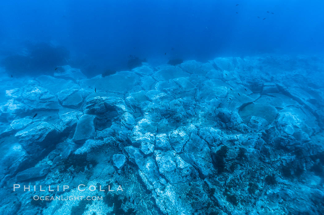 Granite structures form the underwater reef at Abalone Point. Guadalupe Island (Isla Guadalupe), Baja California, Mexico, natural history stock photograph, photo id 09550