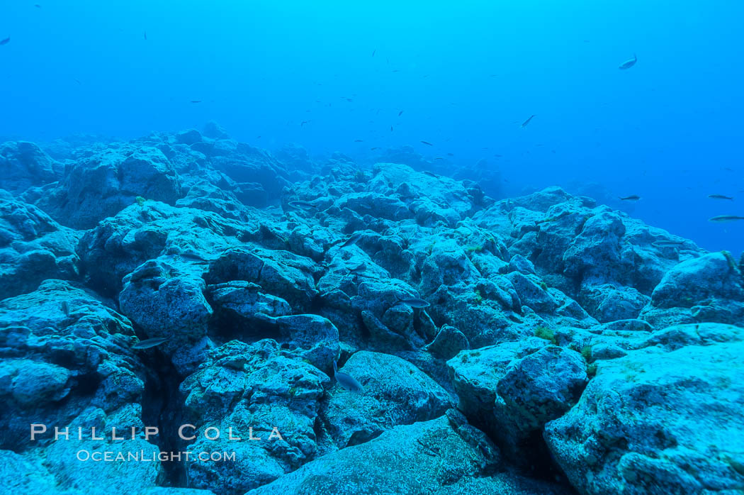 Granite structures form the underwater reef at Abalone Point. Guadalupe Island (Isla Guadalupe), Baja California, Mexico, natural history stock photograph, photo id 09544