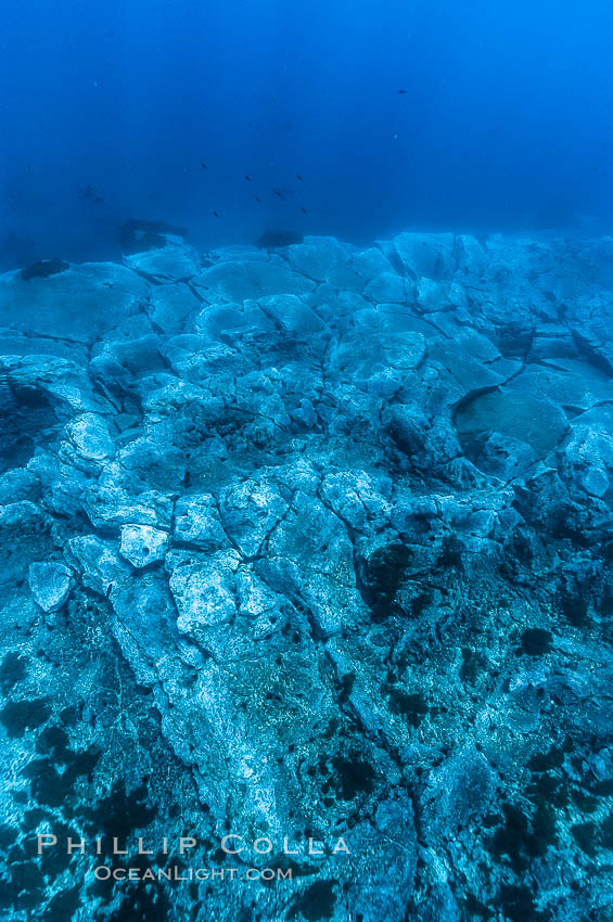 Granite structures form the underwater reef at Abalone Point. Guadalupe Island (Isla Guadalupe), Baja California, Mexico, natural history stock photograph, photo id 09551