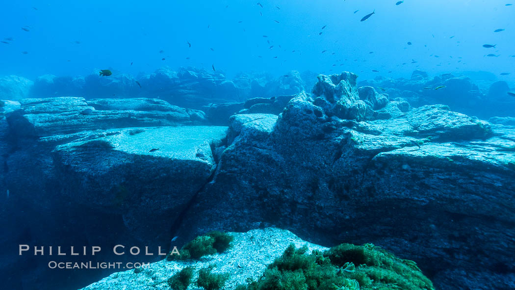 Granite structures form the underwater reef at Abalone Point. Guadalupe Island (Isla Guadalupe), Baja California, Mexico, natural history stock photograph, photo id 09541