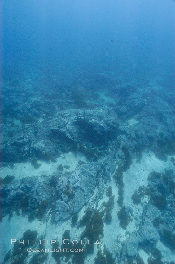 Sand channels and granite structures form the underwater reef at Abalone Point. Guadalupe Island (Isla Guadalupe), Baja California, Mexico, natural history stock photograph, photo id 09545