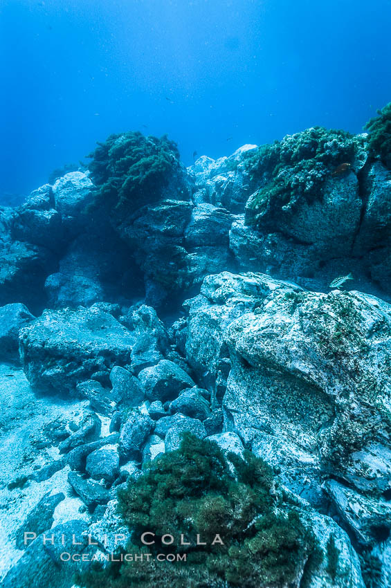 Sand channels and granite structures form the underwater reef at Abalone Point. Guadalupe Island (Isla Guadalupe), Baja California, Mexico, natural history stock photograph, photo id 09549