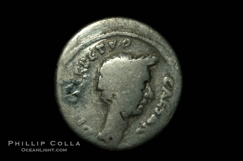 Roman dictator Julius Ceasar (48-44 B.C.), depicted on ancient Roman coin (silver, denom/type: Denarius) (Denarius P. Sepullis Macer; S 1072.)., natural history stock photograph, photo id 06514
