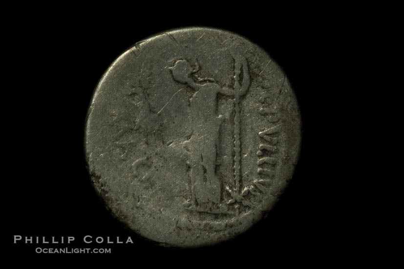Roman dictator Julius Ceasar (48-44 B.C.), depicted on ancient Roman coin (silver, denom/type: Denarius) (Denarius P. Sepullis Macer; S 1072.)., natural history stock photograph, photo id 06515