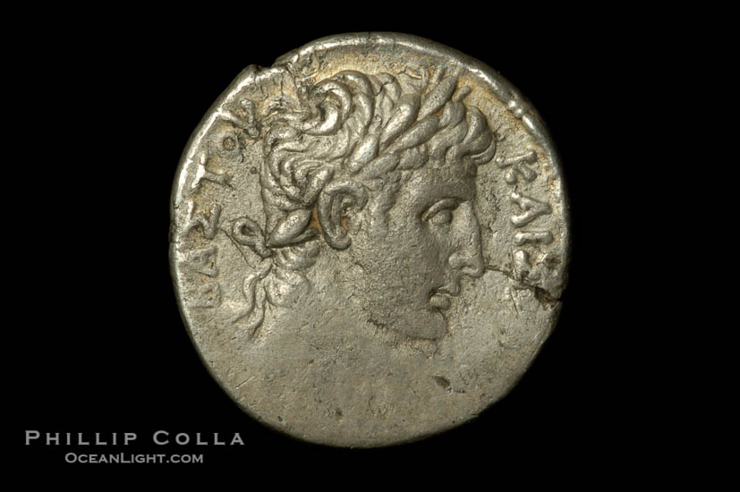 Roman emperor Augustus (27 B.C.-14 A.D.), depicted on ancient Roman coin (silver, denom/type: Tetradrachm) (Ar. Tetradrachm. Syria; Antioch and Orentum. Obverse: Lauriate bust right. Reverse: City godess seated on rock, holding palm branch. River god swimming at her feet.  N=year 54 = AD 5/6. S107 var.)., natural history stock photograph, photo id 06522