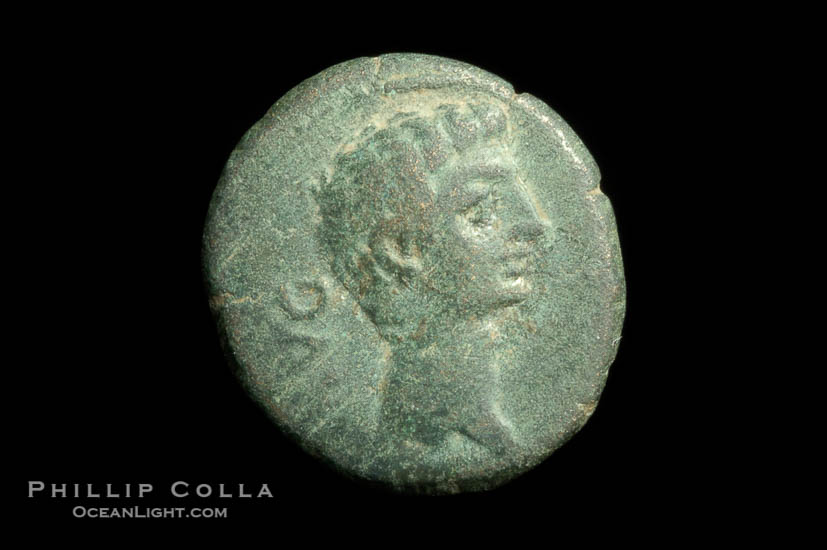 Roman emperor Augustus (27 B.C.-14 A.D.), depicted on ancient Roman coin (bronze, denom/type: AE18) (AE 18, VF; Provincial, Mysia, Parium.)., natural history stock photograph, photo id 06524