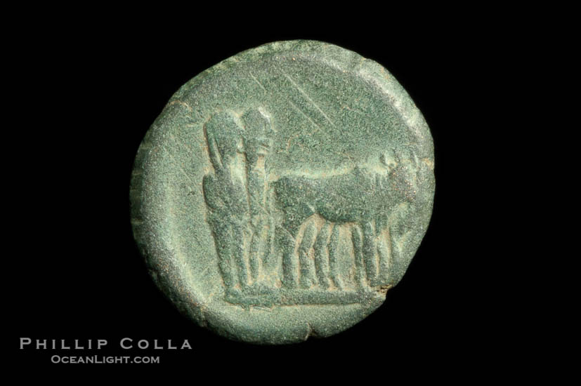 Roman emperor Augustus (27 B.C.-14 A.D.), depicted on ancient Roman coin (bronze, denom/type: AE18) (AE 18, VF; Provincial, Mysia, Parium.)., natural history stock photograph, photo id 06525