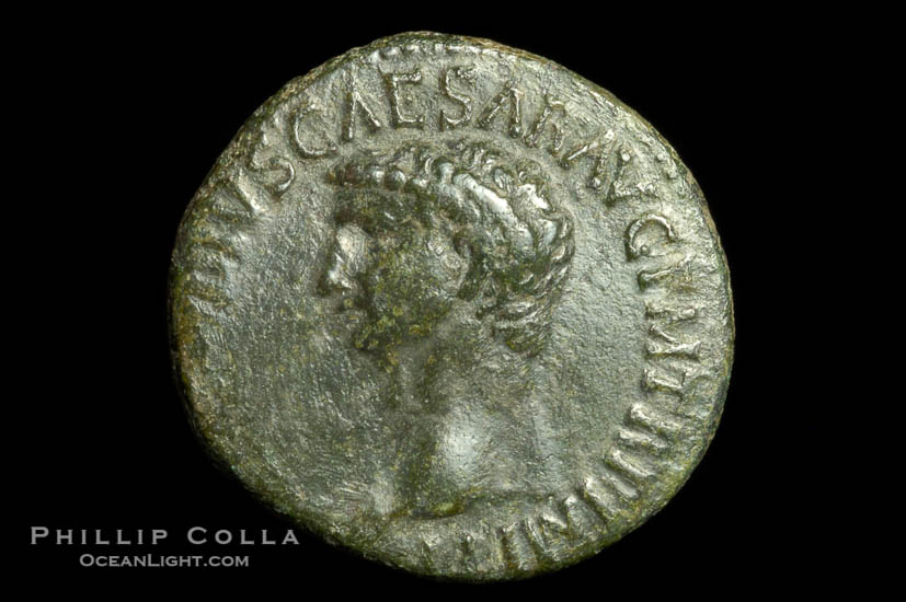 Roman emperor Claudius (41-54 A.D.), depicted on ancient Roman coin (bronze, denom/type: As) (AS, VF. Reverse: SC, Minerva standing right, spear and shield.)., natural history stock photograph, photo id 06532
