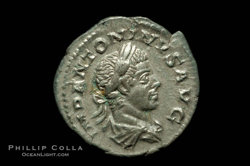 Roman emperor Elegabalus (218-222 A.D.), depicted on ancient Roman coin (silver, denom/type: Denarius) (Denarius, EF, Sea 2003. Obverse: IMP ANTONINVS PIVA AVG. Reverse: Liberty standing left.)., natural history stock photograph, photo id 06586