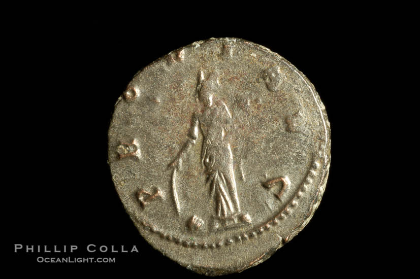 Roman emperor Gallienus (253-268 A.D.), depicted on ancient Roman coin (bronze, denom/type: Antoninianus) (Antoninianus VF. Obverse: GALLIENVS AVG. Reverse: PROVI AVG.)., natural history stock photograph, photo id 06617