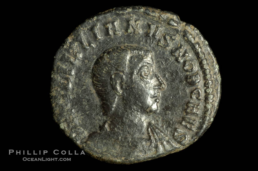 Roman emperor Julian II (355-363 A.D.), depicted on ancient Roman coin (bronze, denom/type: AE4) (Reverse: SPES REPVBLICE VM49; VB2.)., natural history stock photograph, photo id 06715