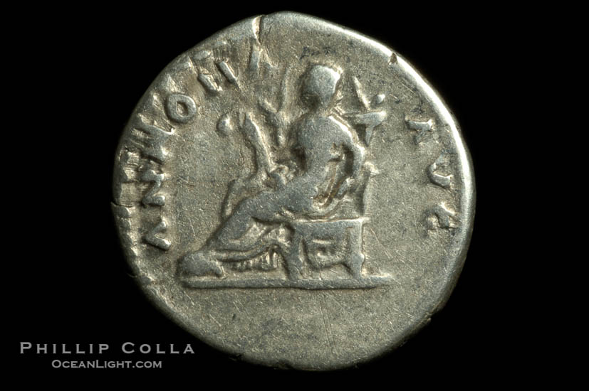 Roman emperor Titus (79-81 A.D.), depicted on ancient Roman coin (silver, denom/type: Denarius) (Denarius F.)., natural history stock photograph, photo id 06543