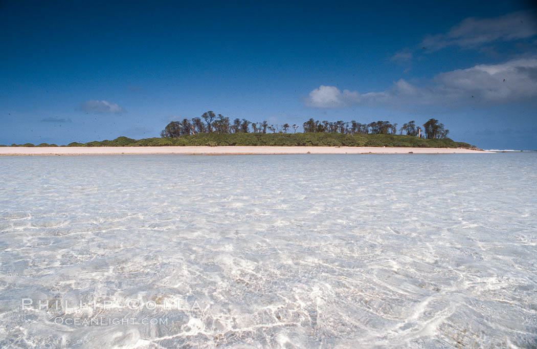 Rose Island at Rose Atoll, American Samoa. Rose Atoll National Wildlife Refuge, USA, natural history stock photograph, photo id 00831