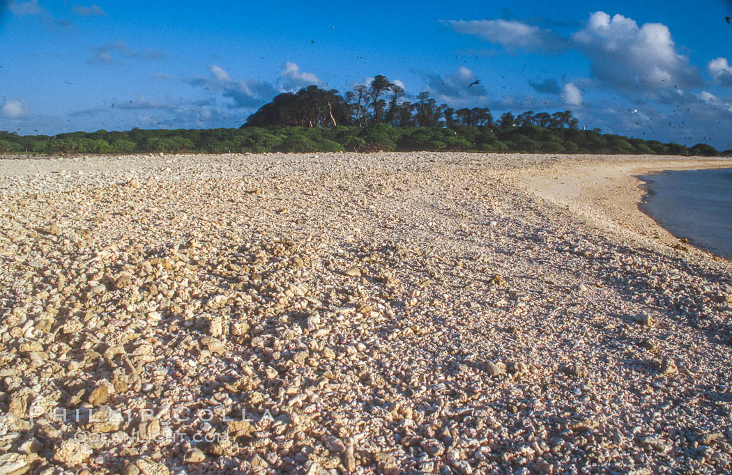 Rose Island at Rose Atoll, American Samoa. Rose Atoll National Wildlife Refuge, USA, natural history stock photograph, photo id 00833