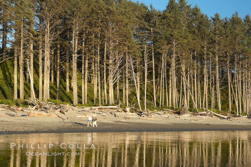 A couple walks along Ruby Beach at sunset. Olympic National Park, Washington, USA, natural history stock photograph, photo id 13807