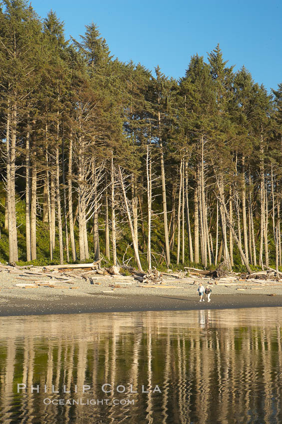 A couple walks along Ruby Beach at sunset. Olympic National Park, Washington, USA, natural history stock photograph, photo id 13811