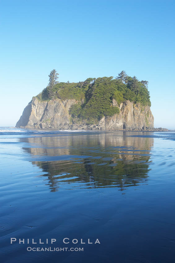 Ruby Beach and its famous seastack, early morning. Olympic National Park, Washington, USA, natural history stock photograph, photo id 13817