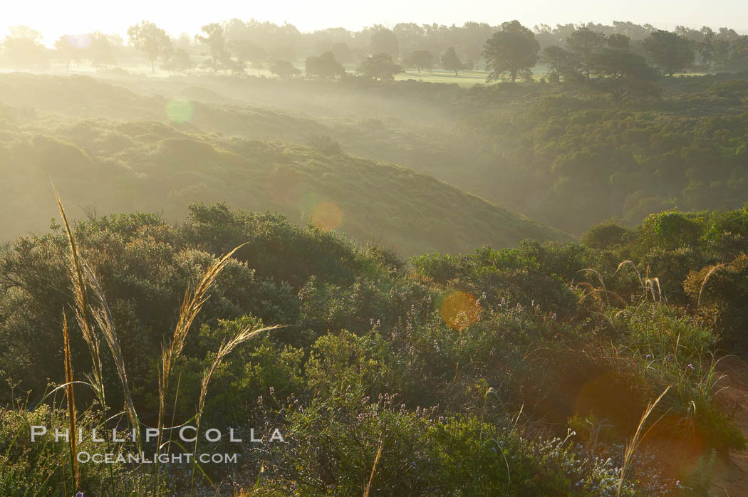 Dawn breaks across the sagebrush and canyons of Torrey Pines State Reserve, with the championship Torrey Pines North golf course in the distance.  San Diego. California, USA, natural history stock photograph, photo id 12036