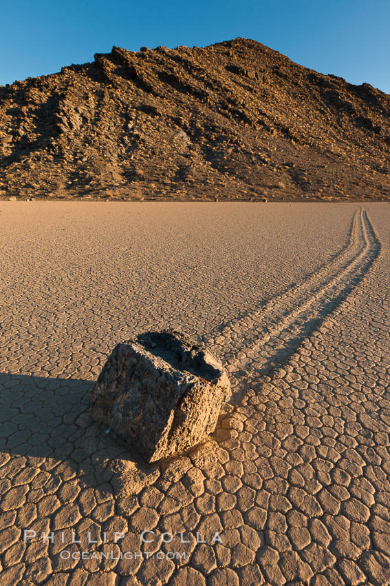 Sailing stone on the Racetrack Playa. The sliding rocks, or sailing stones, move across the mud flats of the Racetrack Playa, leaving trails behind in the mud. The explanation for their movement is not known with certainty, but many believe wind pushes the rocks over wet and perhaps icy mud in winter. Death Valley National Park, California, USA, natural history stock photograph, photo id 27690