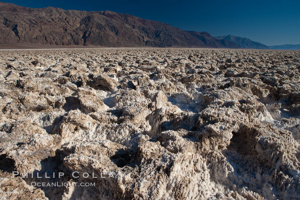 Devils Golf Course, California.  Evaporated salt has formed into gnarled, complex crystalline shapes in on the salt pan of Death Valley National Park, one of the largest salt pans in the world.  The shapes are constantly evolving as occasional floods submerge the salt concretions before receding and depositing more salt. USA, natural history stock photograph, photo id 15613