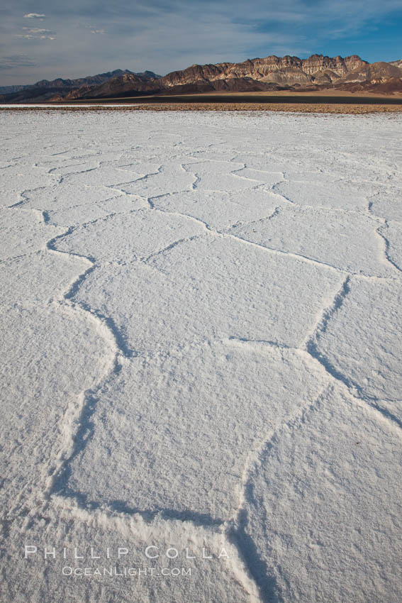 Salt polygons.  After winter flooding, the salt on the Badwater Basin playa dries into geometric polygonal shapes. Death Valley National Park, California, USA, natural history stock photograph, photo id 25242