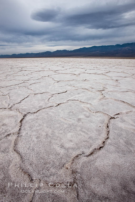Salt polygons.  After winter flooding, the salt on the Badwater Basin playa dries into geometric polygonal shapes. Death Valley National Park, California, USA, natural history stock photograph, photo id 25254