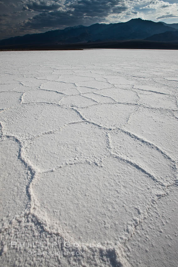 Salt polygons.  After winter flooding, the salt on the Badwater Basin playa dries into geometric polygonal shapes. Death Valley National Park, California, USA, natural history stock photograph, photo id 25262