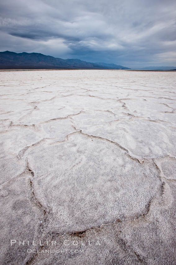 Salt polygons.  After winter flooding, the salt on the Badwater Basin playa dries into geometric polygonal shapes. Death Valley National Park, California, USA, natural history stock photograph, photo id 25294