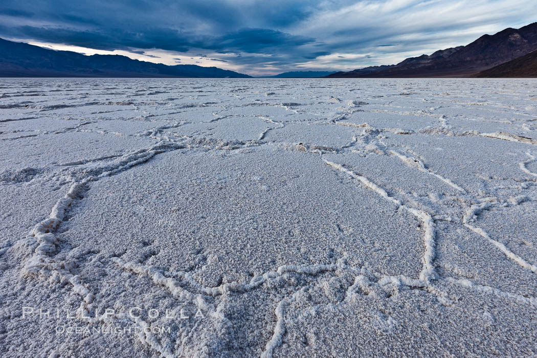 Salt polygons. After winter flooding, the salt on the Badwater Basin playa dries into geometric polygonal shapes. Death Valley National Park, California, USA, natural history stock photograph, photo id 27632