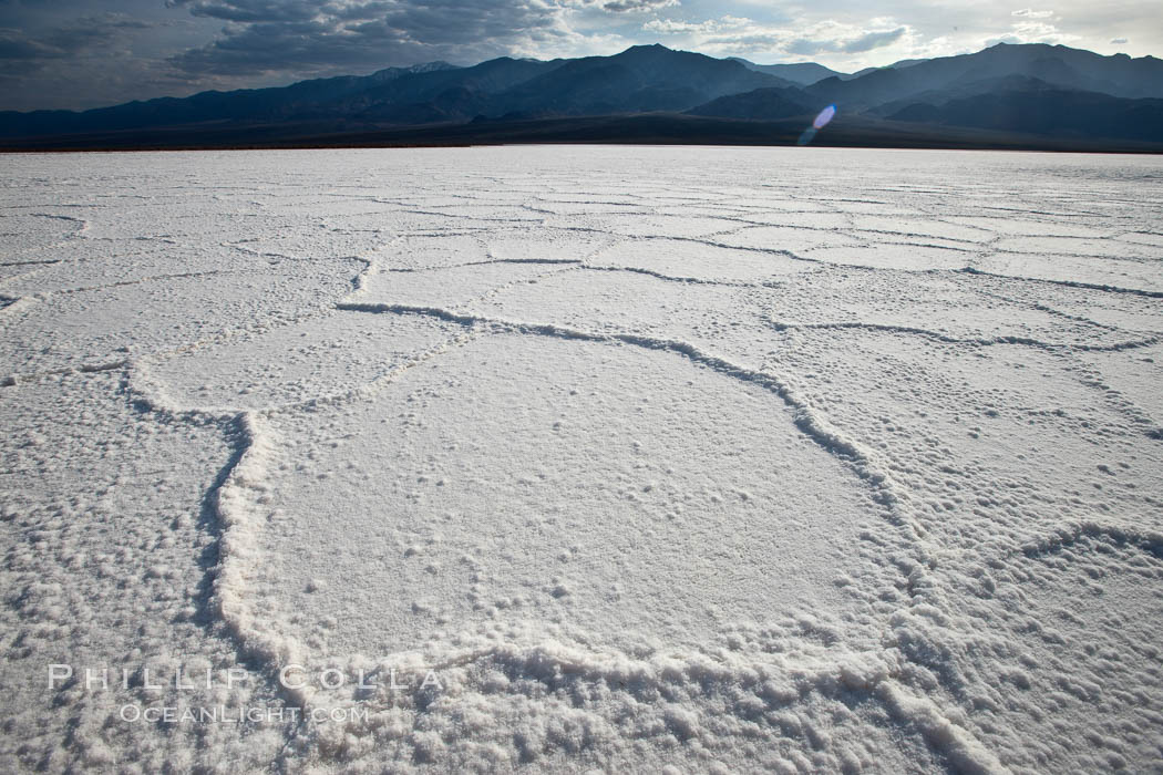 Salt polygons.  After winter flooding, the salt on the Badwater Basin playa dries into geometric polygonal shapes. Death Valley National Park, California, USA, natural history stock photograph, photo id 25305