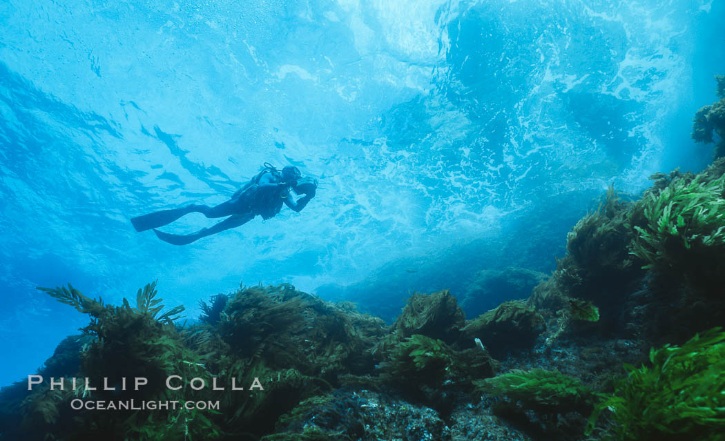 San Benito Islands, Baja California, Mexico. San Benito Islands (Islas San Benito), natural history stock photograph, photo id 36201