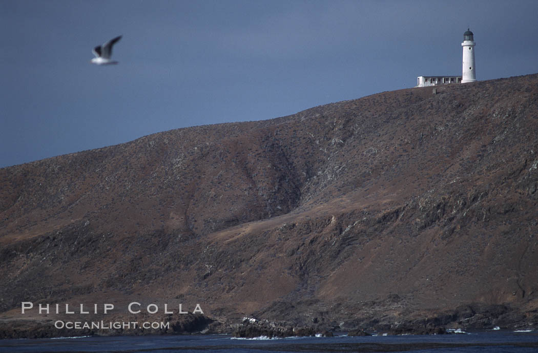 Lighthouse. San Benito Islands (Islas San Benito), Baja California, Mexico, natural history stock photograph, photo id 03709