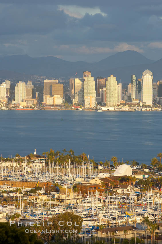 San Diego harbor skyline, late afternoon. California, USA, natural history stock photograph, photo id 15673