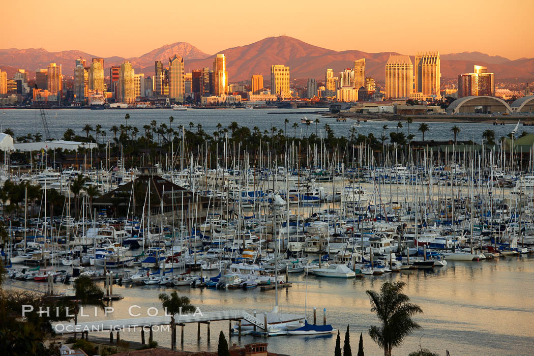 San Diego city skyline, showing the buildings of downtown San Diego rising above San Diego Harbor, viewed from Point Loma with the San Diego Yacht Club in the foreground, sunset. California, USA, natural history stock photograph, photo id 22262