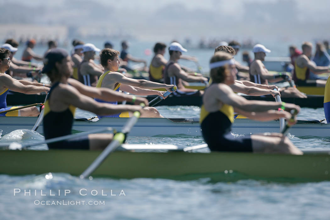 UCSD men on their way to winning the finals of the Cal Cup, 2007 San Diego Crew Classic. Mission Bay, California, USA, natural history stock photograph, photo id 18674