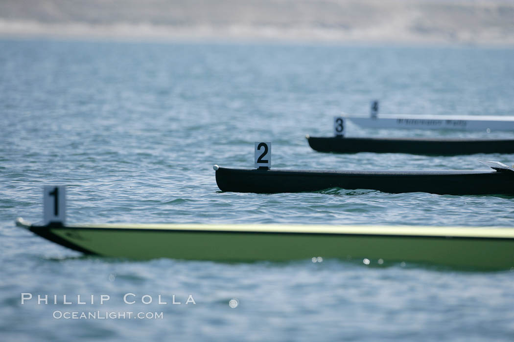 Rowing sculls lined up at the start of a race, San Diego Crew Classic, 2007. Mission Bay, California, USA, natural history stock photograph, photo id 18686