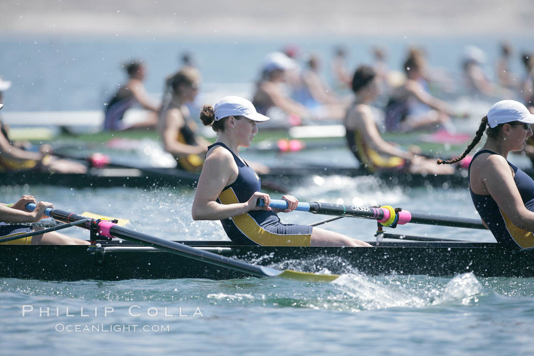 Cal (UC Berkeley) women en route to a second place finish in the Jessop-Whittier Cup final, 2007 San Diego Crew Classic. Mission Bay, California, USA, natural history stock photograph, photo id 18698
