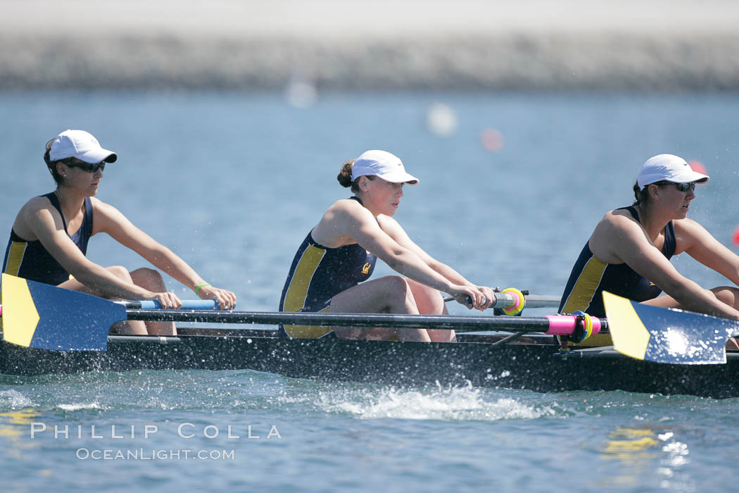 Cal (UC Berkeley) women en route to a second place finish in the Jessop-Whittier Cup final, 2007 San Diego Crew Classic. Mission Bay, California, USA, natural history stock photograph, photo id 18702