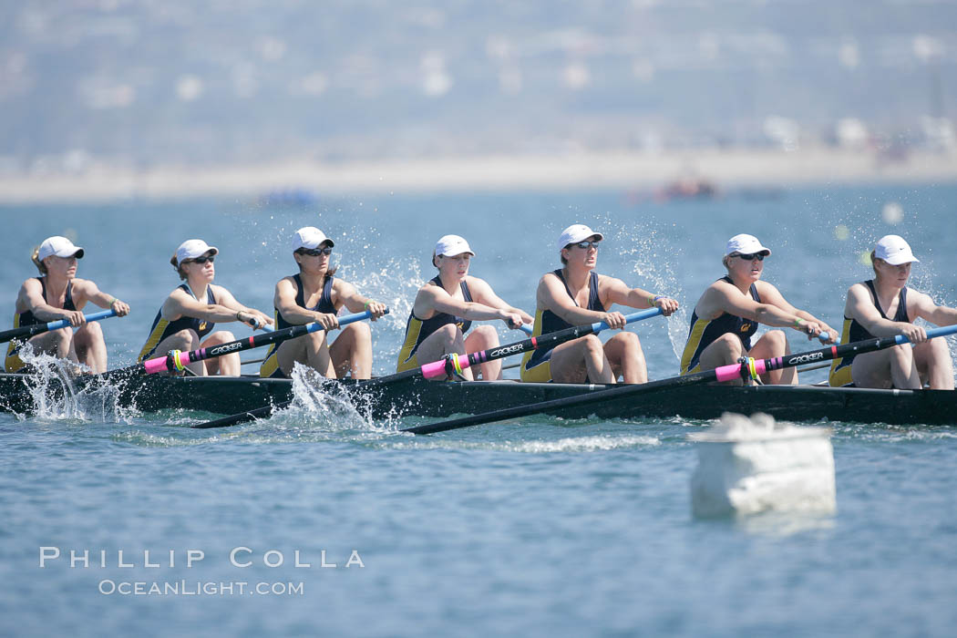 Cal (UC Berkeley) women en route to a second place finish in the Jessop-Whittier Cup final, 2007 San Diego Crew Classic. Mission Bay, California, USA, natural history stock photograph, photo id 18703