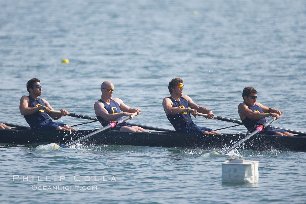 Cal (UC Berkeley) men's collegiate novice crew on their way to winning the Derek Guelker Memorial Cup, 2007 San Diego Crew Classic. Mission Bay, California, USA, natural history stock photograph, photo id 18645