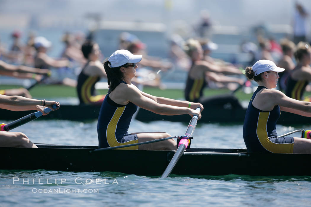 Cal (UC Berkeley) women en route to a second place finish in the Jessop-Whittier Cup final, 2007 San Diego Crew Classic. Mission Bay, California, USA, natural history stock photograph, photo id 18657