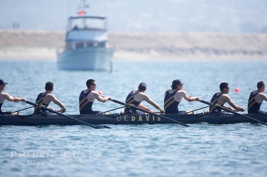 UC Davis prepares for the final of the men's JV finals, 2007 San Diego Crew Classic. Mission Bay, California, USA, natural history stock photograph, photo id 18661