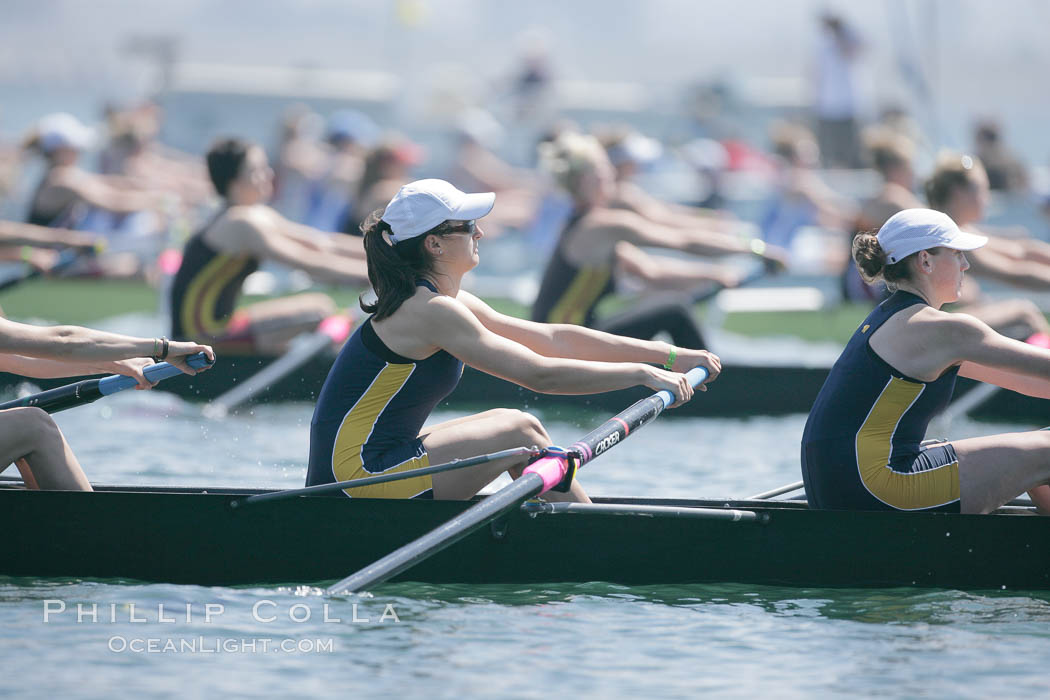 Cal (UC Berkeley) women en route to a second place finish in the Jessop-Whittier Cup final, 2007 San Diego Crew Classic. Mission Bay, California, USA, natural history stock photograph, photo id 18697