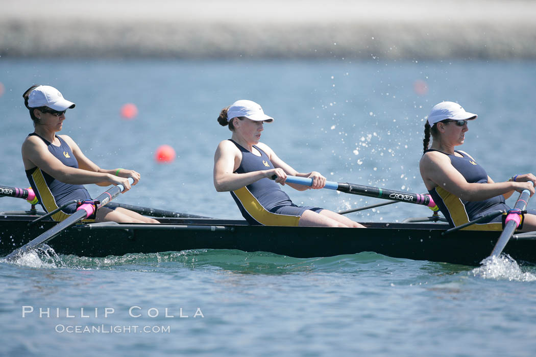 Cal (UC Berkeley) women en route to a second place finish in the Jessop-Whittier Cup final, 2007 San Diego Crew Classic. Mission Bay, California, USA, natural history stock photograph, photo id 18701