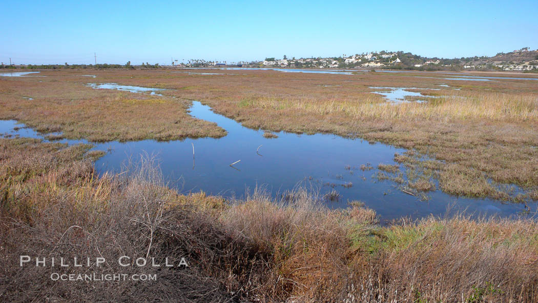 San Elijo lagoon at high tide, looking from the south shore north west. San Elijo Lagoon, Encinitas, California, USA, natural history stock photograph, photo id 19832